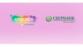 Бонусы Спасибо от Сбербанка: сколько они стоят? в Техносила