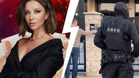 Чем занималась Блиновская до ареста в Техносила