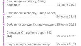 Что такое статус заказа на Wildberries? в Техносила