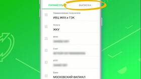 Что значит SBOL в выписке Сбербанка в Техносила