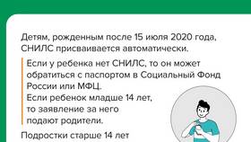 Для чего нужен СНИЛС работнику в Техносила
