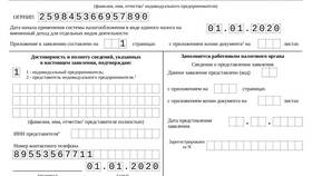 ИНН для индивидуального предпринимателя в Техносила