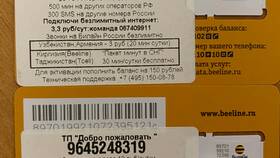 Как активировать новую карту Билайн в Техносила