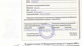 Как найти информацию о страховых взносах в Техносила