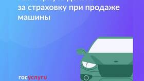 Как оформить ОСАГО онлайн через Госуслуги в Техносила