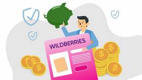 Как оформить жалобу на Wildberries в Техносила