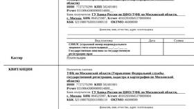 Как оплатить госпошлину в МФЦ в Техносила