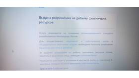 Как подать заявку на получение разрешения на охоту через Госуслуги в Техносила