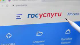 Как подать заявление на президентские выплаты через портал Госуслуги в Техносила