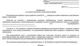 Как подать заявление в суд на развод в Техносила