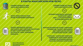 Как получить накопительную пенсию в 2025 году предпенсионеру в Техносила