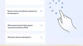 Как получить справку об инвалидности через Госуслуги в Техносила