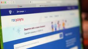 Как получить судебный приказ онлайн через Госуслуги в Техносила