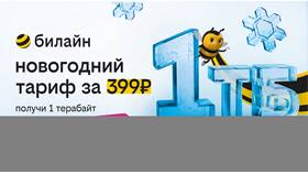 Как пополнить интернет на телефоне Билайн в Техносила