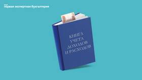 Как выглядит книга доходов в Техносила