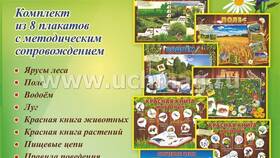 Как вывести деньги из Кубышки ИРИС в Техносила