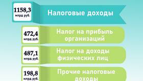 Назначение доходов бюджета в Техносила