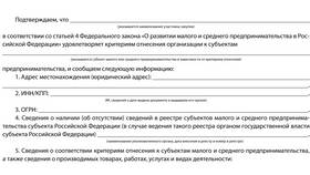 ООО как субъект малого предпринимательства (СМП) в Техносила