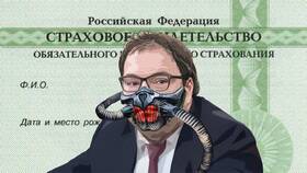 Почему на Госуслугах не появляется ИНН в Техносила