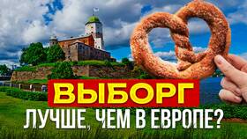 РЖД Бонус Золотой уровень: что дает в Техносила