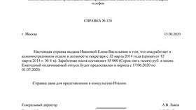 Справка о выплатах: что это и для чего нужна в Техносила