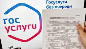 Сроки рассмотрения заявления в ФССП через Госуслуги в Техносила