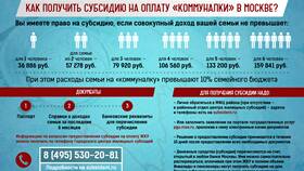 Сумма субсидии: что это и как рассчитывается в Техносила