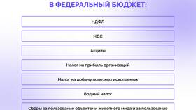 Зачем государству необходимы налоги в Техносила