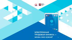 Зачем работодателю выписка из электронной трудовой книжки в Техносила
