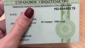 Зачем требуется СНИЛС при продаже недвижимости в Техносила